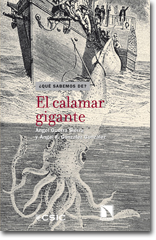 calamar_gigante