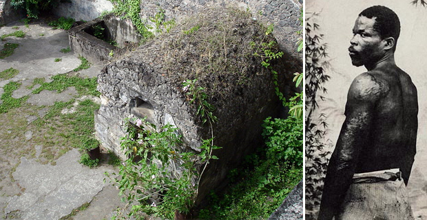 superviviente_pelee_tecob