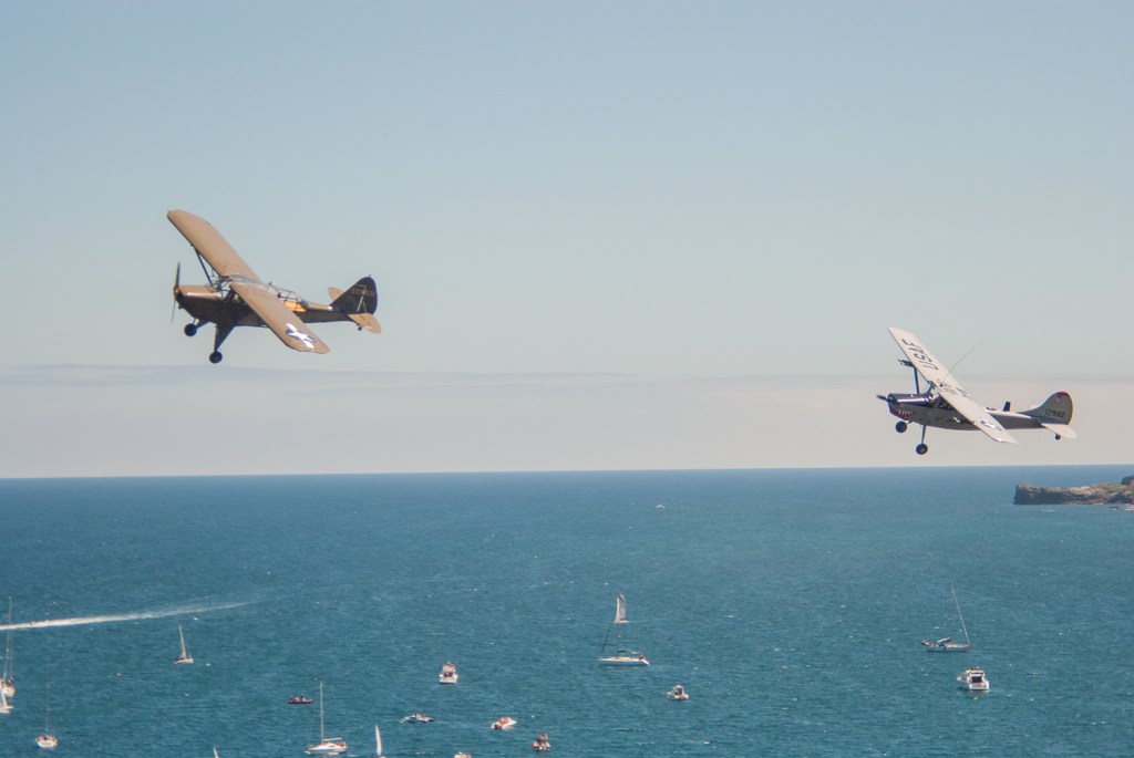 PIPER “ARMY CRUISER” L-14 y CESSNA L 19 BIRD DOG